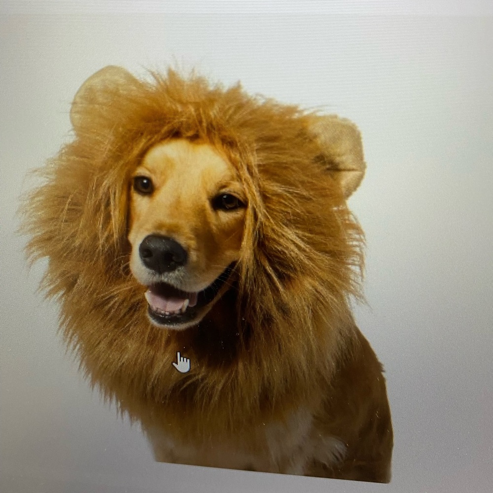 Furry Lion Mane Costume for Dogs - Brown